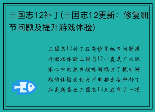 三国志12补丁(三国志12更新：修复细节问题及提升游戏体验)