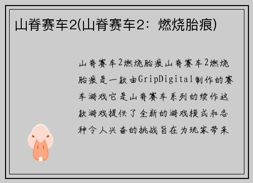 山脊赛车2(山脊赛车2：燃烧胎痕)